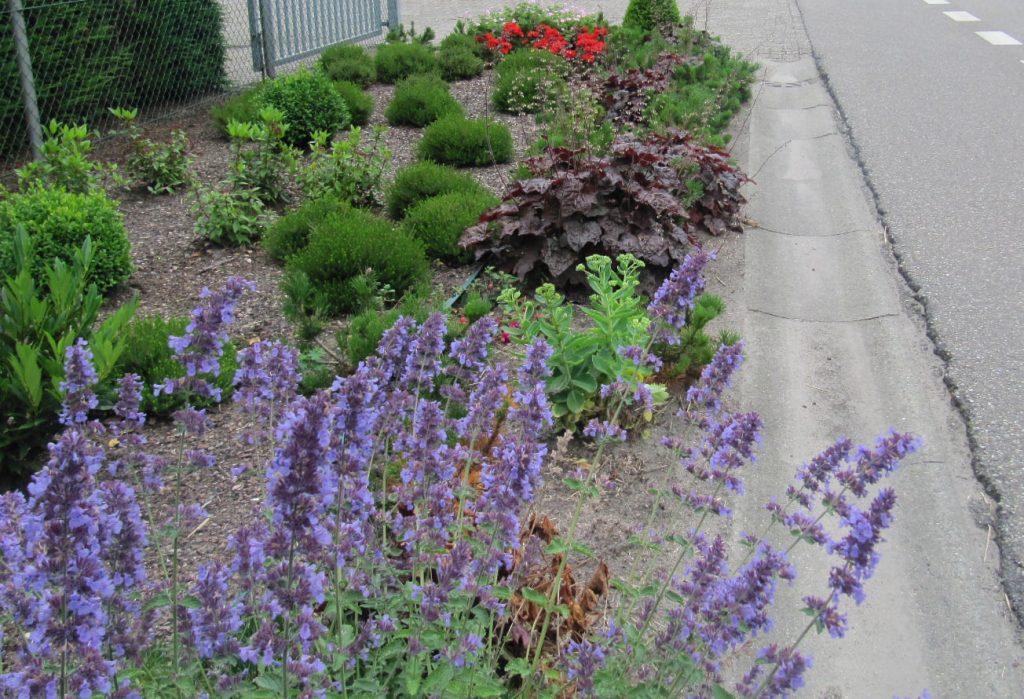 Bermbeplanting
