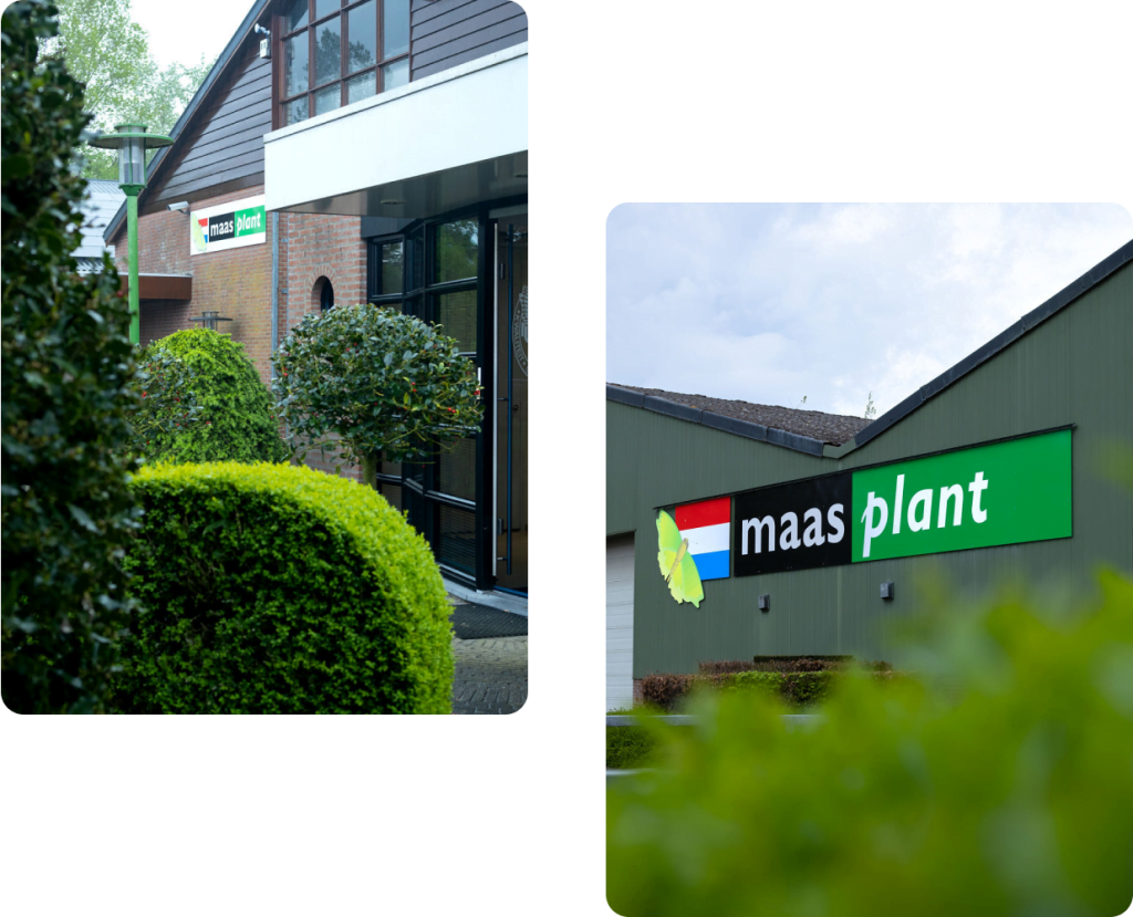 Plant supplier