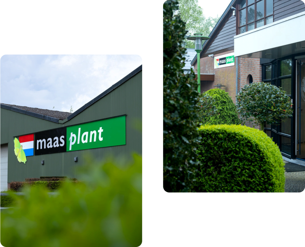 The plant supplier for business