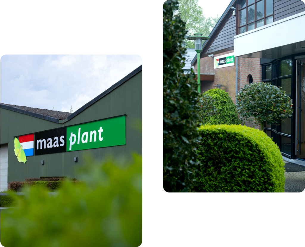 Le fournisseur de plantes pour les entreprises