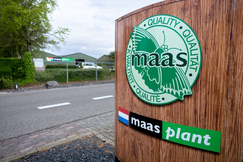 Planten leverancier Maas Plant