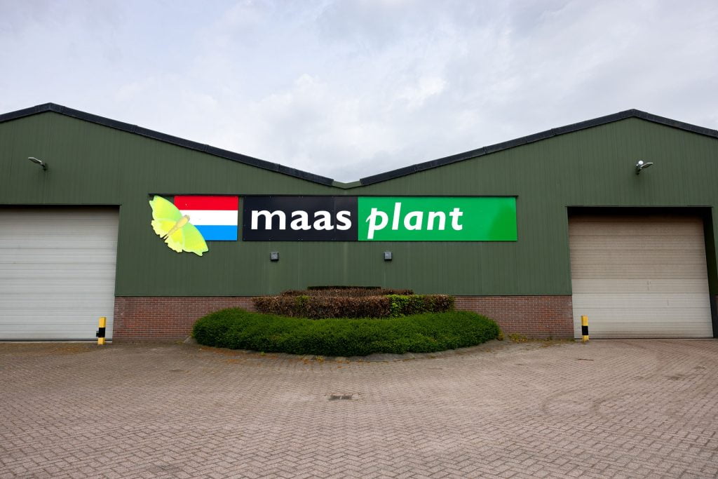 plants supplier maas plant