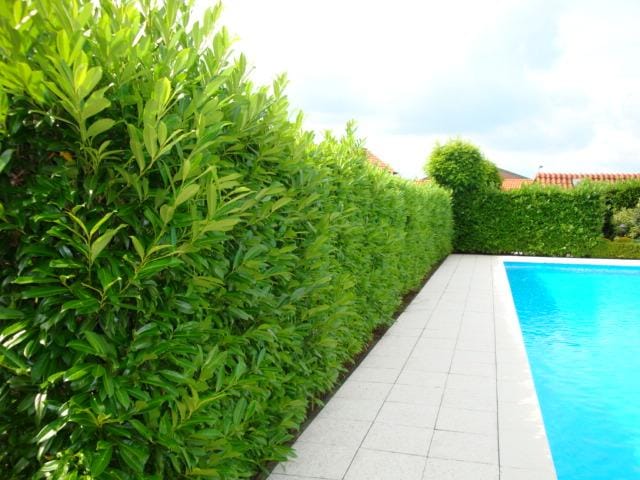 DSC00172 (Small)